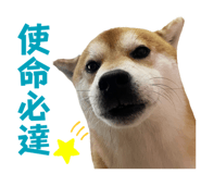 675848974