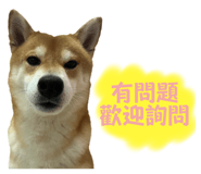 675848975
