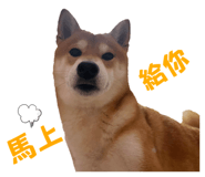 675848979