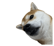 675848980