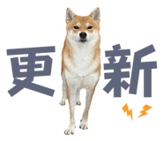 675848981