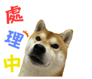 675848982