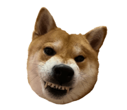 675848983