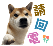 675848986
