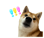 675848987