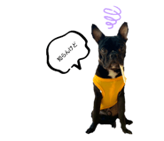 675849800