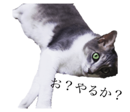 675858167