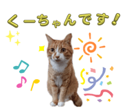 675858998