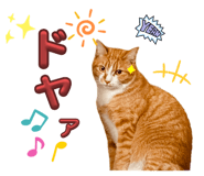 675859001