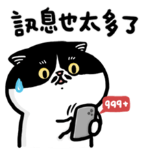 675863391
