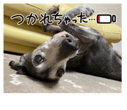 675874130