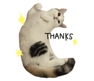 675886187