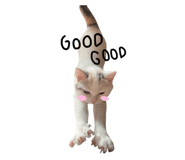 675886190
