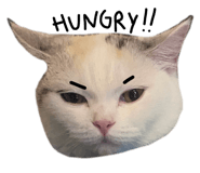 675886191