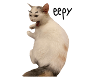 675886194