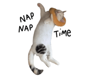 675886195