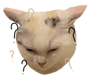 675886197