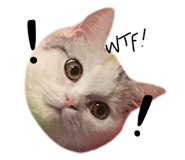 675886198