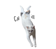 675886199