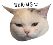 675886200