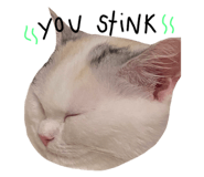675886201