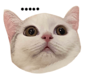 675886202
