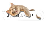 675887638