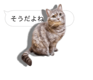 675887641