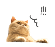 675887642