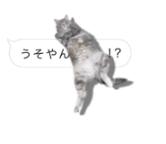 675887643