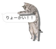 675887644