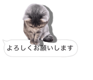 675887650