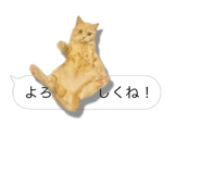 675887651