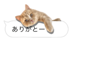 675887652