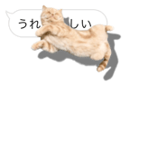 675887653