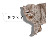 675887654