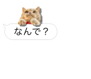675887655