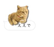 675887656