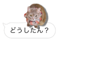 675887657