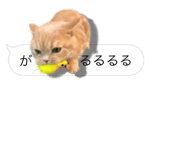 675887658