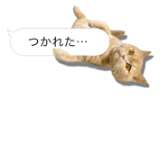 675887659