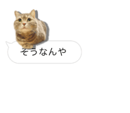 675887661