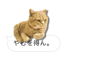 675887662