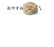 675887663