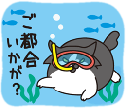 67590331