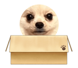 675909629