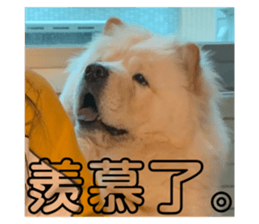 675910138