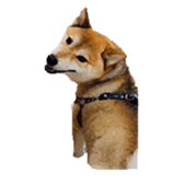 675939535