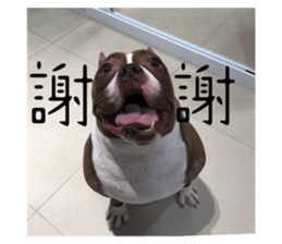 675941333