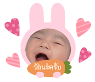 675959915